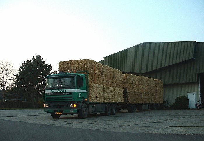 DAF 95.400 met grote balen tarwestro